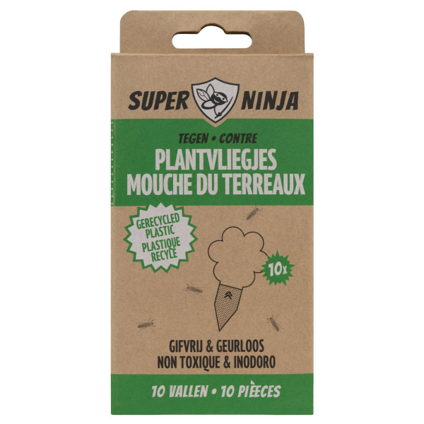 piège à moucherons des plantes